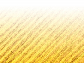 智能農(nóng)機(jī)、“訂單”服務(wù)、“云端”種菜——來(lái)自江西的春耕“新事”